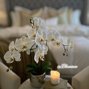 Sophisticated White Orchid Faux Floral Arrangement